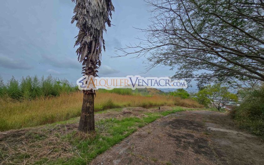 Terreno de 9.879 m2 para desarrollar en Guachipelín Escazú x Distrito 4