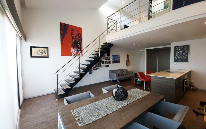 Penthouse loft con vista en Bakia Flats Brasil de Santa Ana