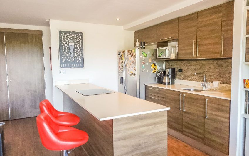 Penthouse loft con vista en Bakia Flats Brasil de Santa Ana