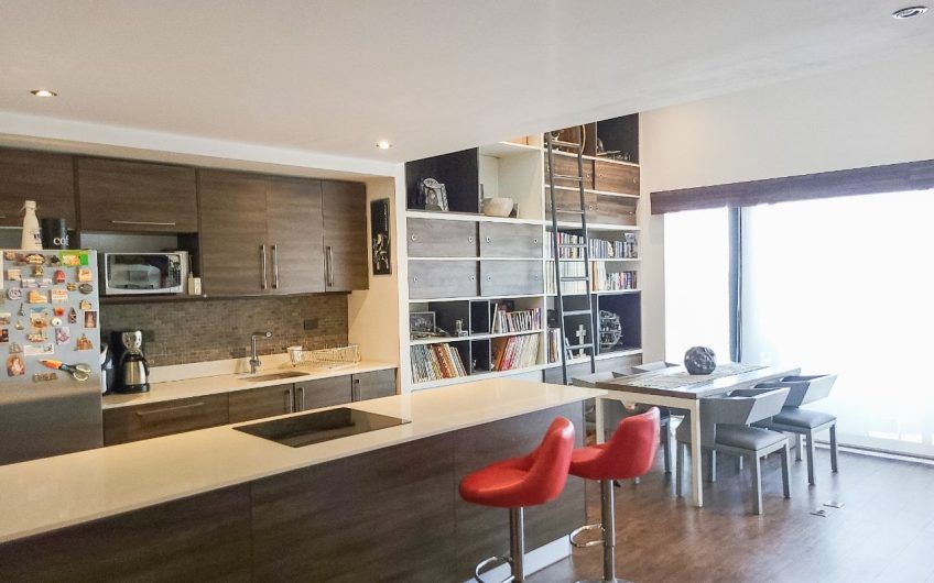 Penthouse loft con vista en Bakia Flats Brasil de Santa Ana