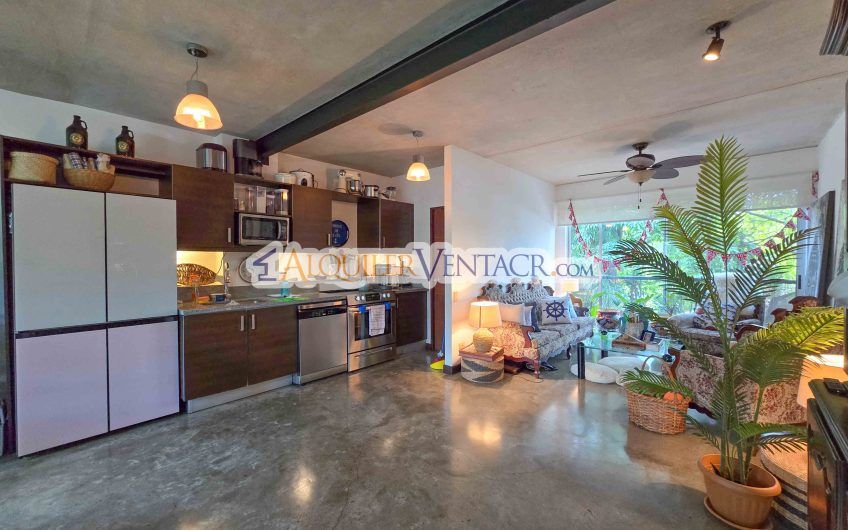 Condo amueblado estilo Loft en Santa Ana Centro x La Cruz Roja