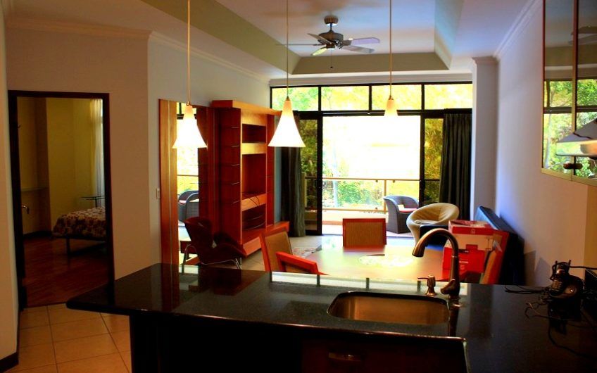 Apartamento amueblado de 1 habit. + 1 studio en San Rafael Escazú