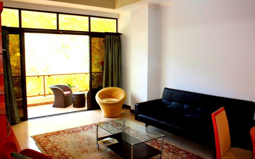 Apartamento amueblado de 1 habit. + 1 studio en San Rafael Escazú