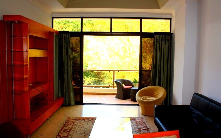 Apartamento amueblado de 1 habit. + 1 studio en San Rafael Escazú