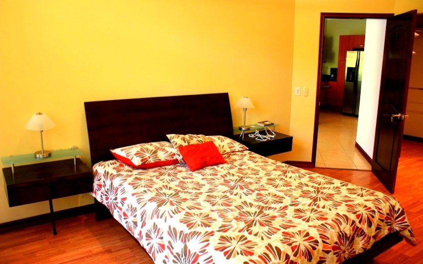Apartamento amueblado de 1 habit. + 1 studio en San Rafael Escazú