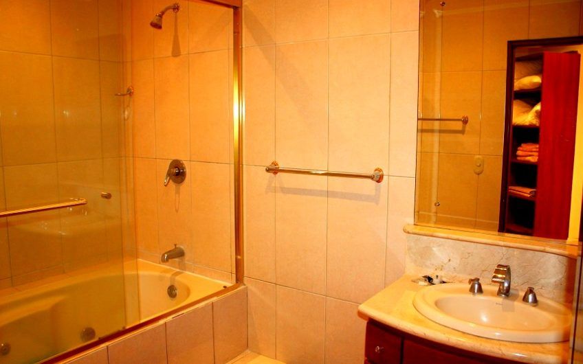 Apartamento amueblado de 1 habit. + 1 studio en San Rafael Escazú