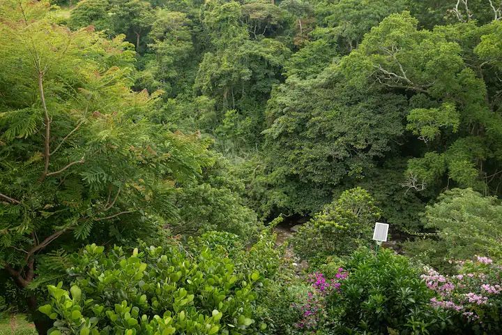 Lujoso Penthouse con vista en torre Paradisus Rohrmoser Pavas