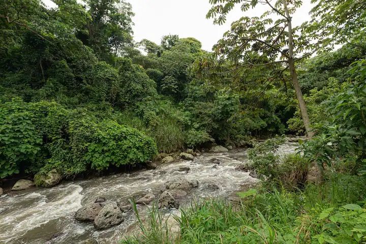 Lujoso Penthouse con vista en torre Paradisus Rohrmoser Pavas