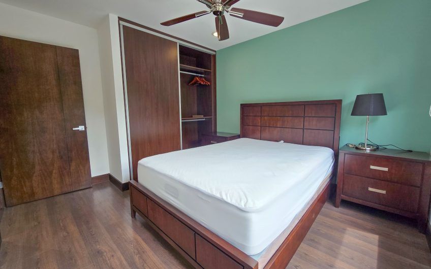Condo amueblado de 320 m2 con jardín en Jaboncillos Escazú