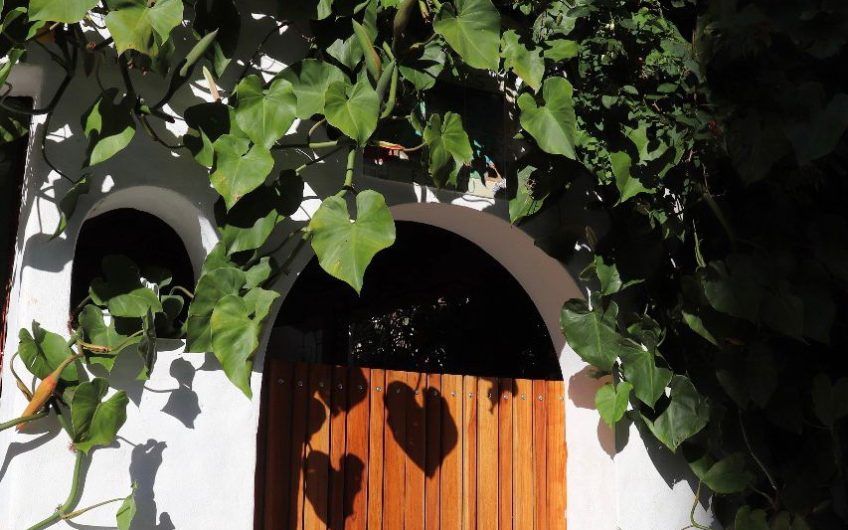 Apartamento amueblado / piscina y áreas verdes en San Rafael Escazú