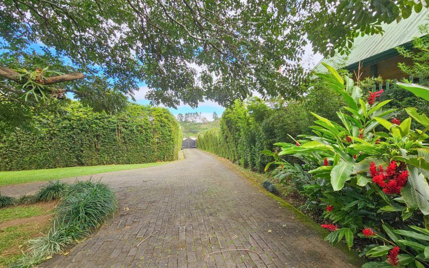 Lujosa casa de 570 m2 con 2.244 m2 de lote en San Antonio Escazú