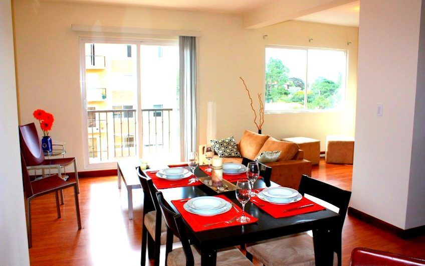 Apartamento de 2 habit. con vista en Bello Horizonte Escazú